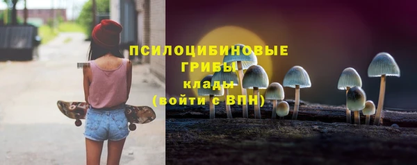 гашик Беломорск