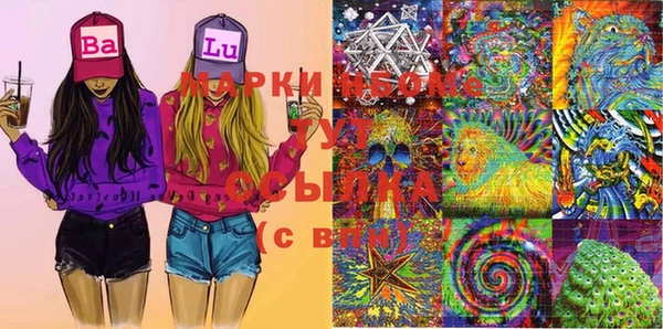 mix Богородицк