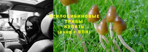 не бодяженный Богородск