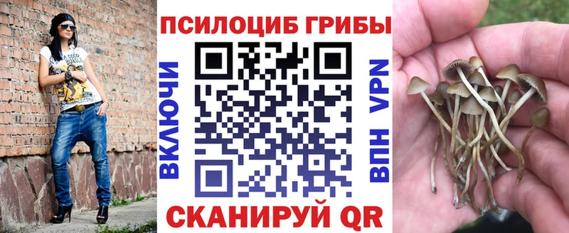 Галлюциногенные грибы Psilocybine cubensis  Городище 